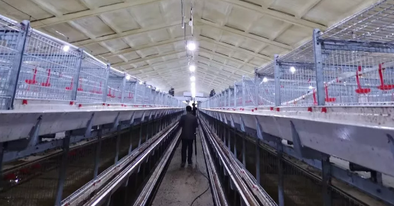 養(yǎng)鴨場老板：熱泵供暖溫度高，費用比燒煤還??！